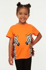 CD T-Shirt - Orange - Standard