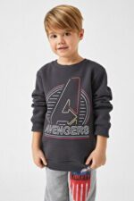 CD Sweatshirt - Grey - Image 5
