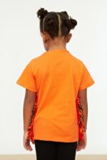 CD T-Shirt - Orange - Standard - Image 2